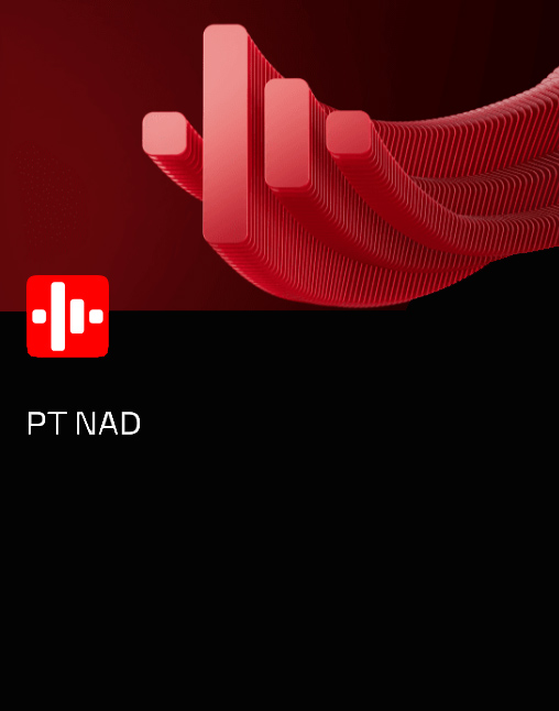 PT Network Attack Discovery